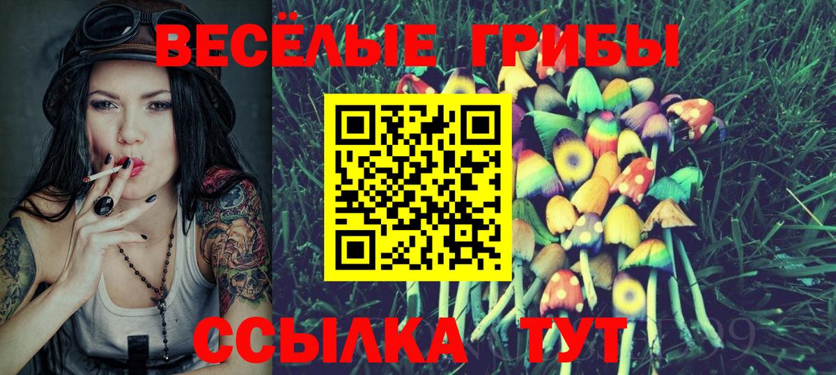 Галлюциногенные грибы прущие грибы Каменск-Уральский