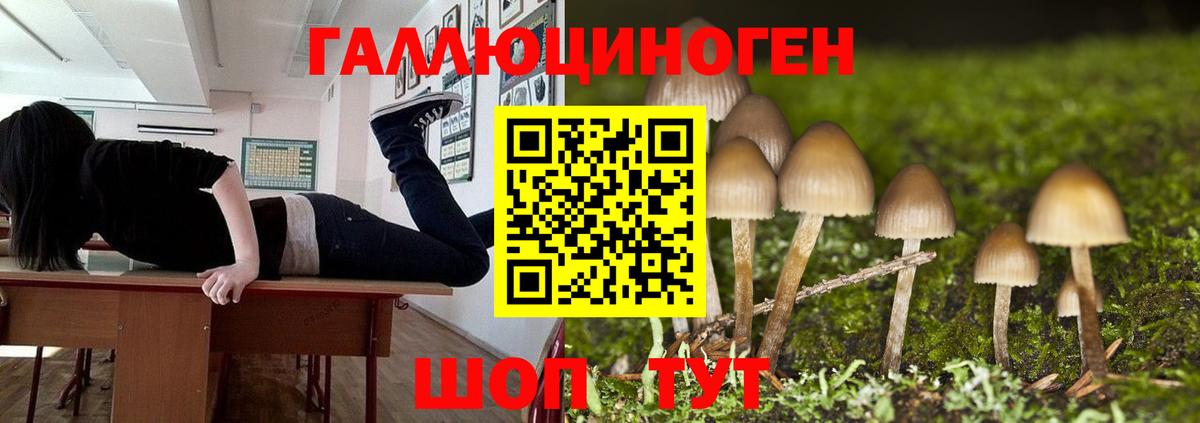 Каменск-Уральский  Галлюциногенные грибы прущие грибы  Псилоцибиновые грибы MAGIC MUSHROOMS  Вход с VPN 